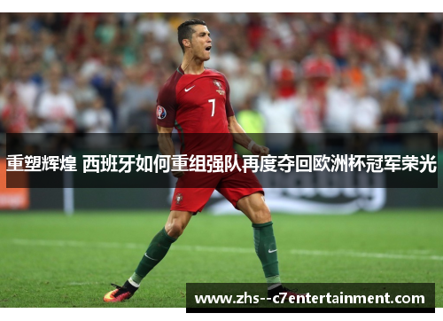 重塑辉煌 西班牙如何重组强队再度夺回欧洲杯冠军荣光